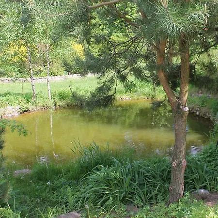 Samsara - Prawdziwa *