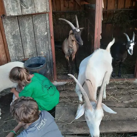 Samsara - Prawdziwa Séjour à la ferme Łukta